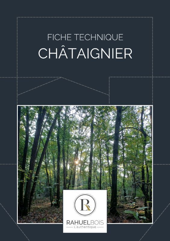 Fiche technique Châtaignier Caractéristiques visuelles mécaniques