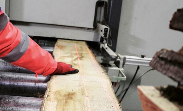 Métier Sciage Bois Châtaignier