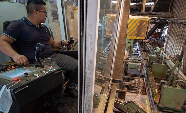 Métier Sciage Bois Châtaignier