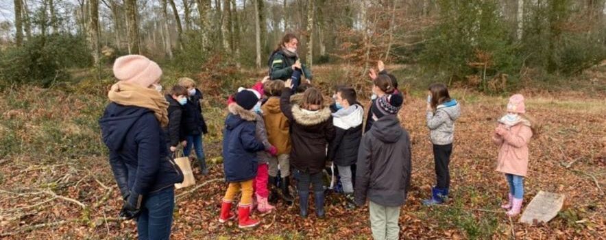 Forêt Bois Visites Ecoles Scolaires
