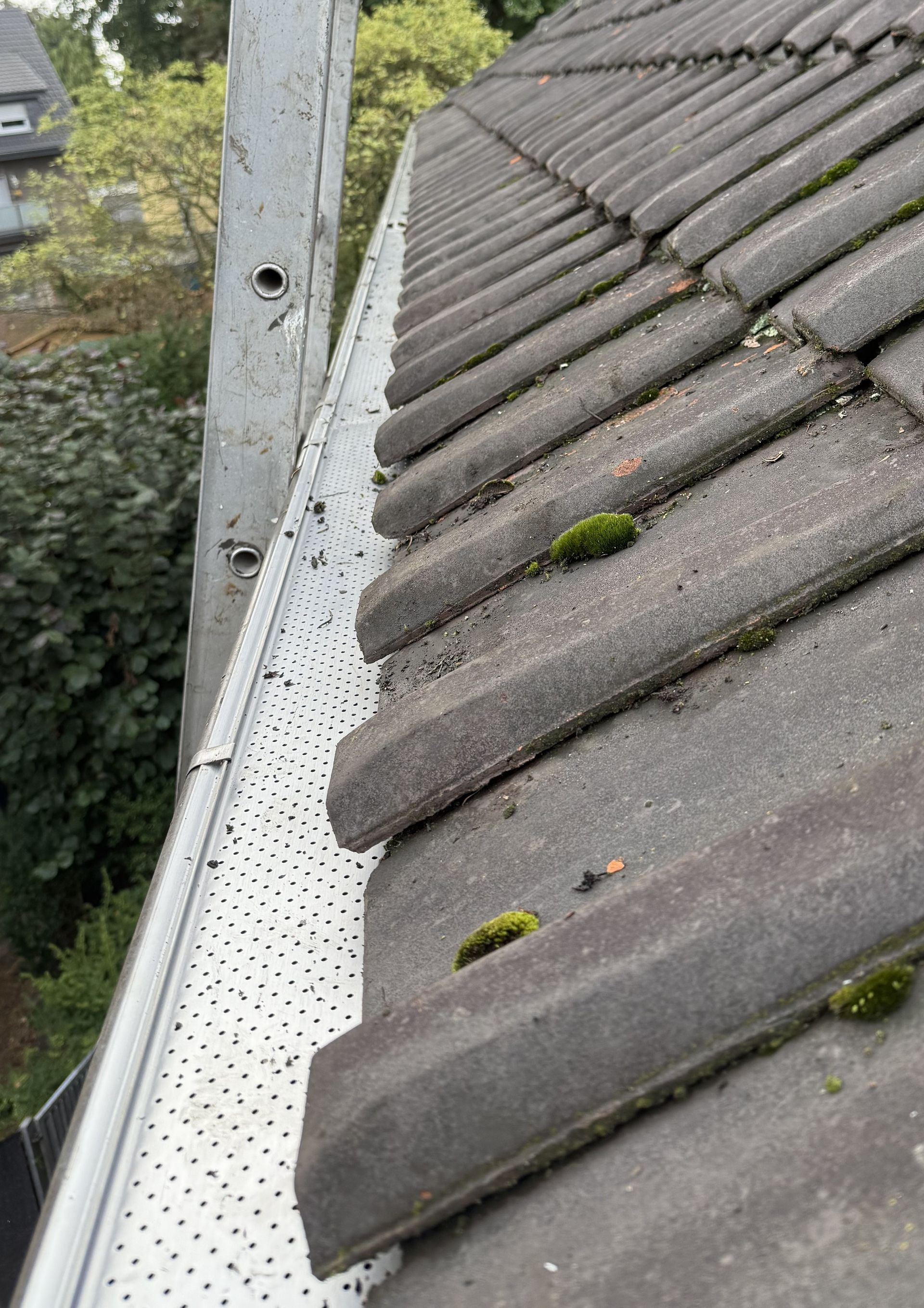 Ein solider Laubschutz hält Dachrinnen funktionstüchtig.