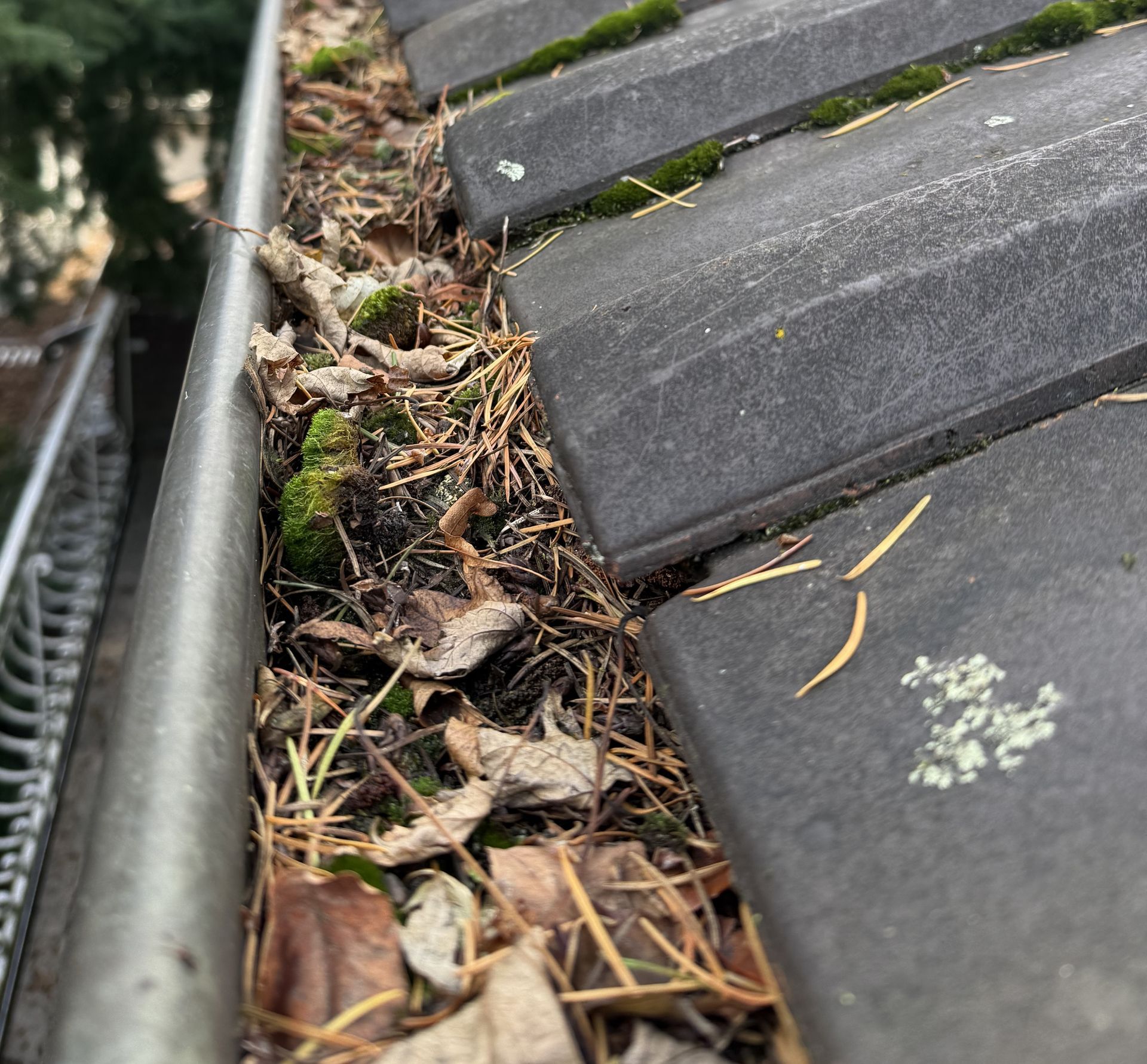 Dachrinnen sollten gewartet werden. Laub behindert den Wasserlauf.