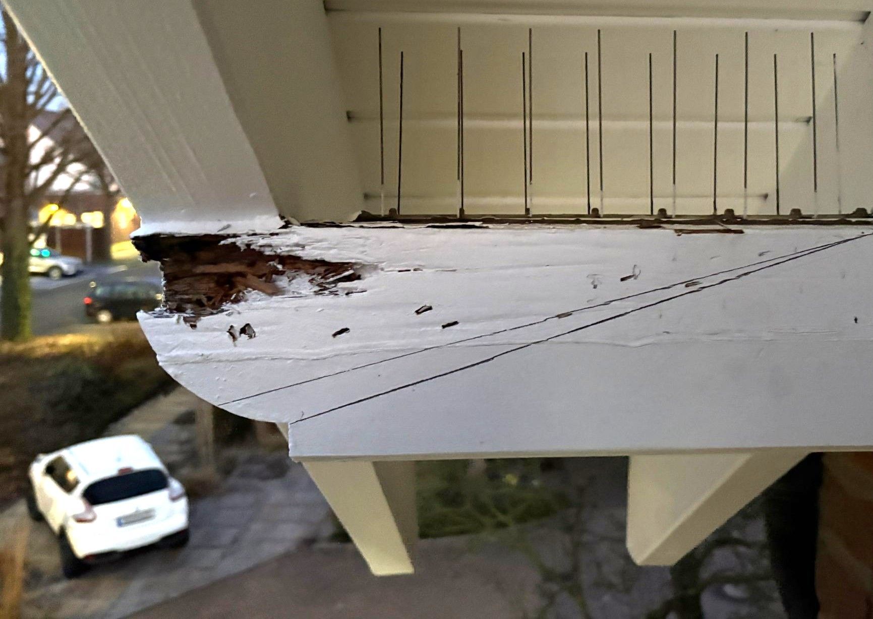 Holzzerstörung durch Pilze oder Insekten können die Standsicherheit gefährden. Wir kontrollieren, reparieren und beseitigen die Ursachen.