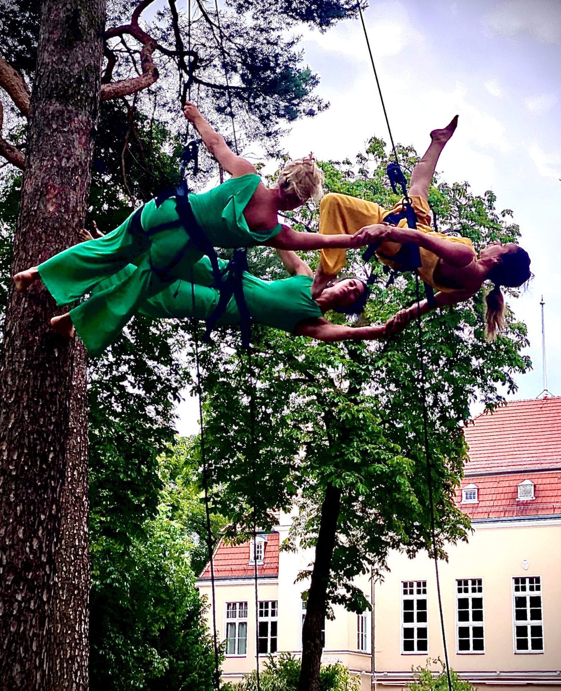Vertical Dance in Bäumen