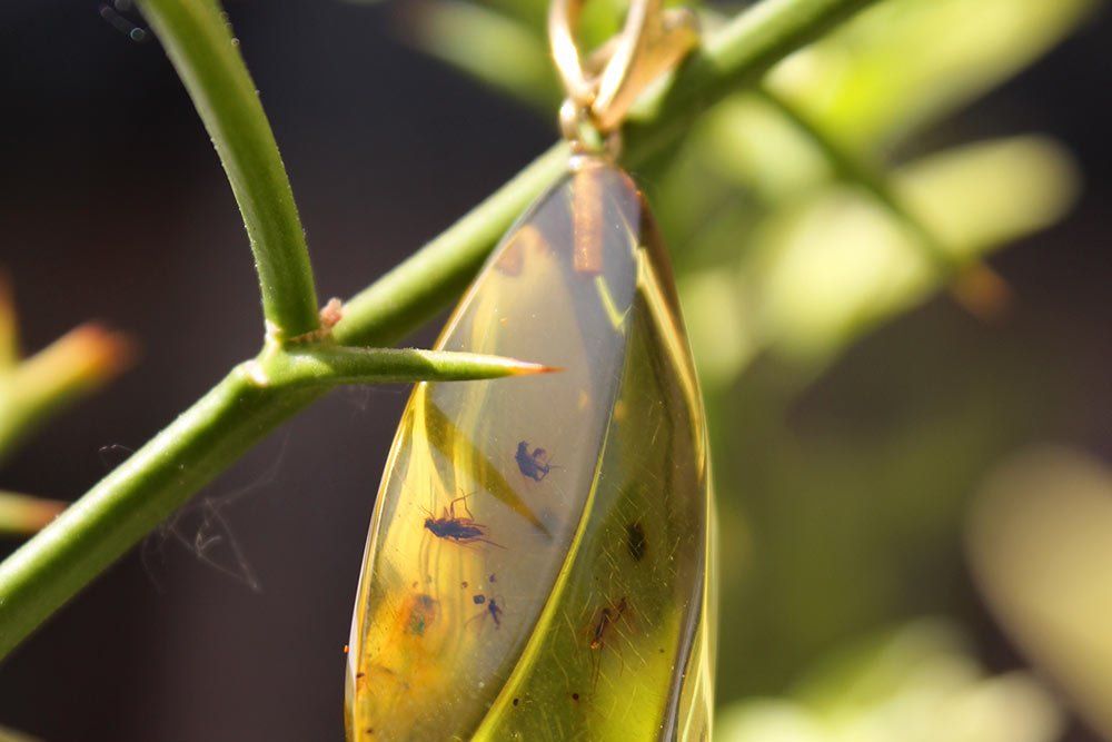 grüner Bernstein mit Einschlüssen