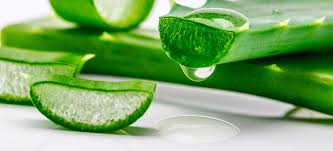 Prodej gelu a šťávy z aloe vera, různé objemy