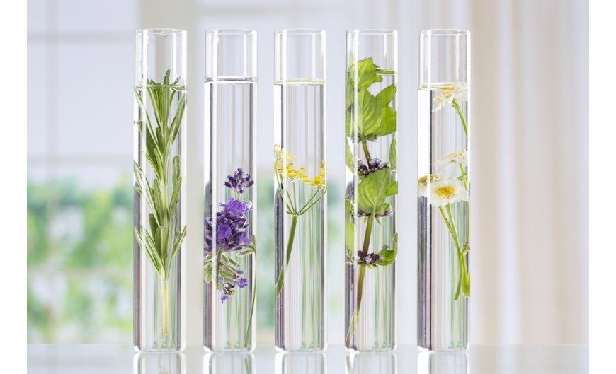 Venta de materia prima natural, extractos de plantas y frutos, ácido cítrico, glicerina, entre otros