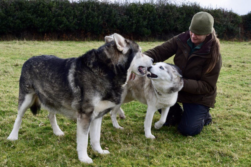Founder of Running Deer CIC Joanna Winterburn