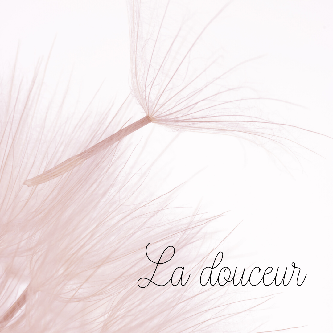 Le pissenlit symbolise d'abord l'innocence et la pureté de l'enfant qui sommeille en chacun. Il représente la légèreté de l'être que l'on ressent pendant l'enfance, il symbolise l'imaginaire, le rêve éveillé, l'émerveillement.