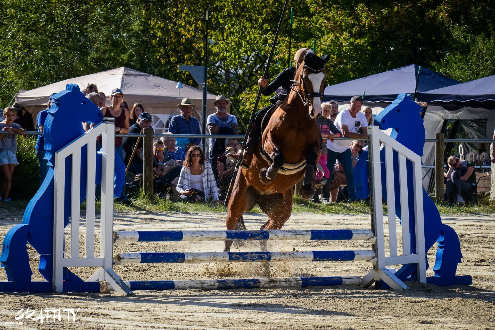 Pferd springt mit Reiter über einen Sprung