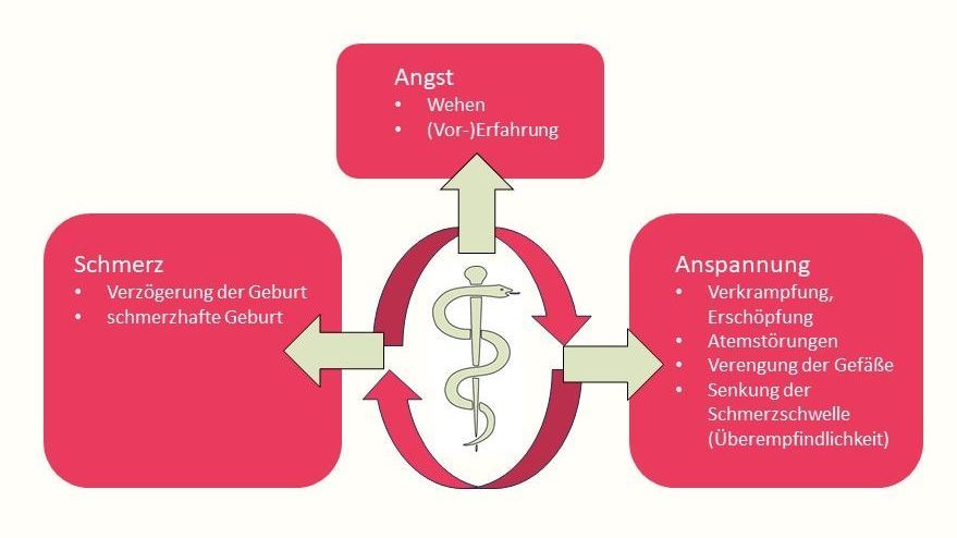 Anspannungs-Angst-Schmerzkreislauf - hypnotherapeutischer Ansatz Grafik Anspannungs-Angst-Schmerzkreislauf unter der Geburt
Hypnotherapeutischer Ansatz