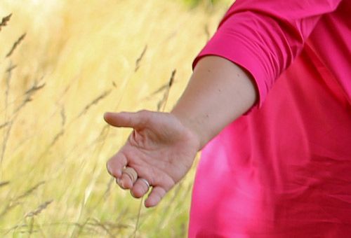 Meine Arbeitsphilosophie. Susanne Feußahrens, Ärztliche Praxis für Hypnosetherapie in Diepholz nimmt Sie mit auf einem gemwinsamen Weg.