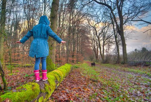 Entdecken Sie Ihre Ressoucen, in Ihrem Tempo, ganz angemessen für Ihre Situation. Ein Kind balanciert im Wald auf einem geraden Baumstamm. Selbstsicherheit, Selbstbestimmung.