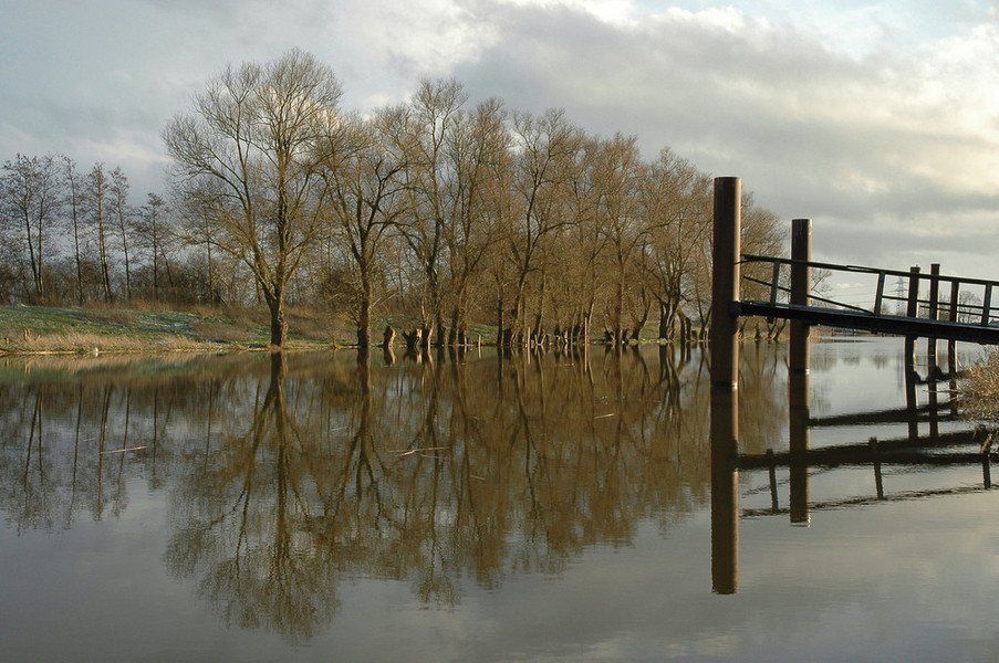 Elbe, Fluß, Kehdinger Land, Ferienhemmoor