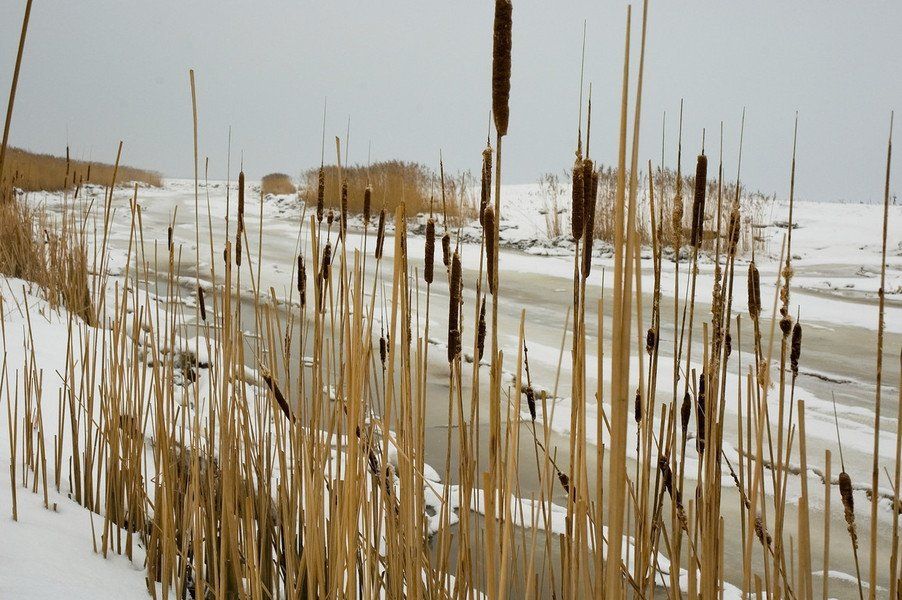 Fluß, Oste, Osteland, Ferienhemmoor