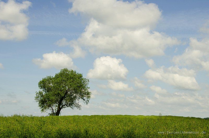Elbinsel, Deich, Strand, Ferienhemmoor, Drochtersen