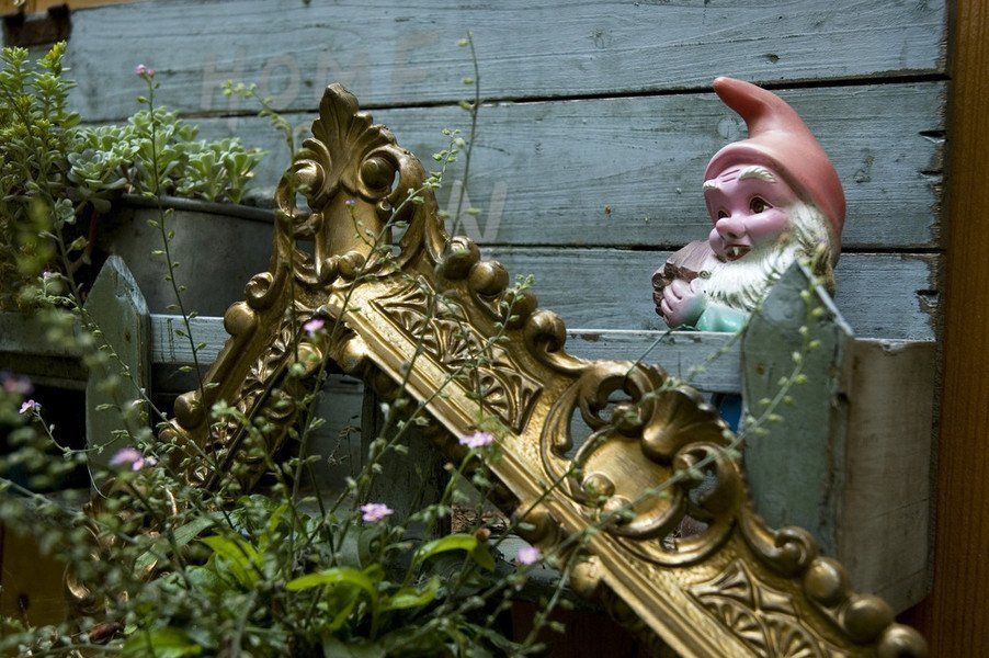 Tiny house, Bauwagen, Ferien, Urlaub, Ferienwohnung, Glamping, Peter Lustig, Hemmoor, Kreidesee