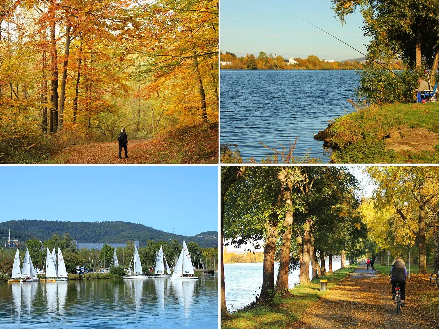 Freizeitgestaltung u.a. Wandern, Angeln, Segeln, Radeln Ferienwohnung Grete-Freizeitmöglichkeiten rund um Trier