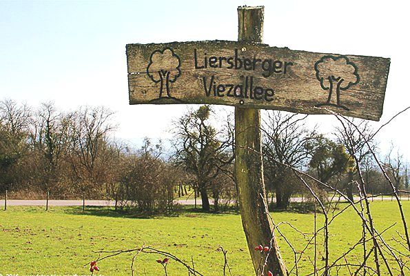 Liersberg-Viezallee