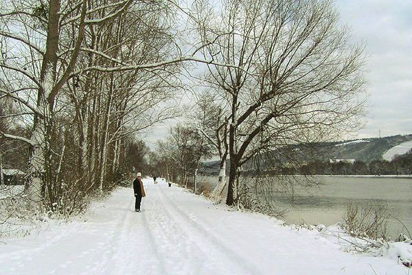 Verschneiter Moselradweg bei Trier-Zewen