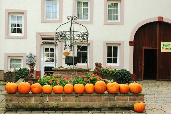 Kürbisernte im Zewener Ortsteil Oberkirch