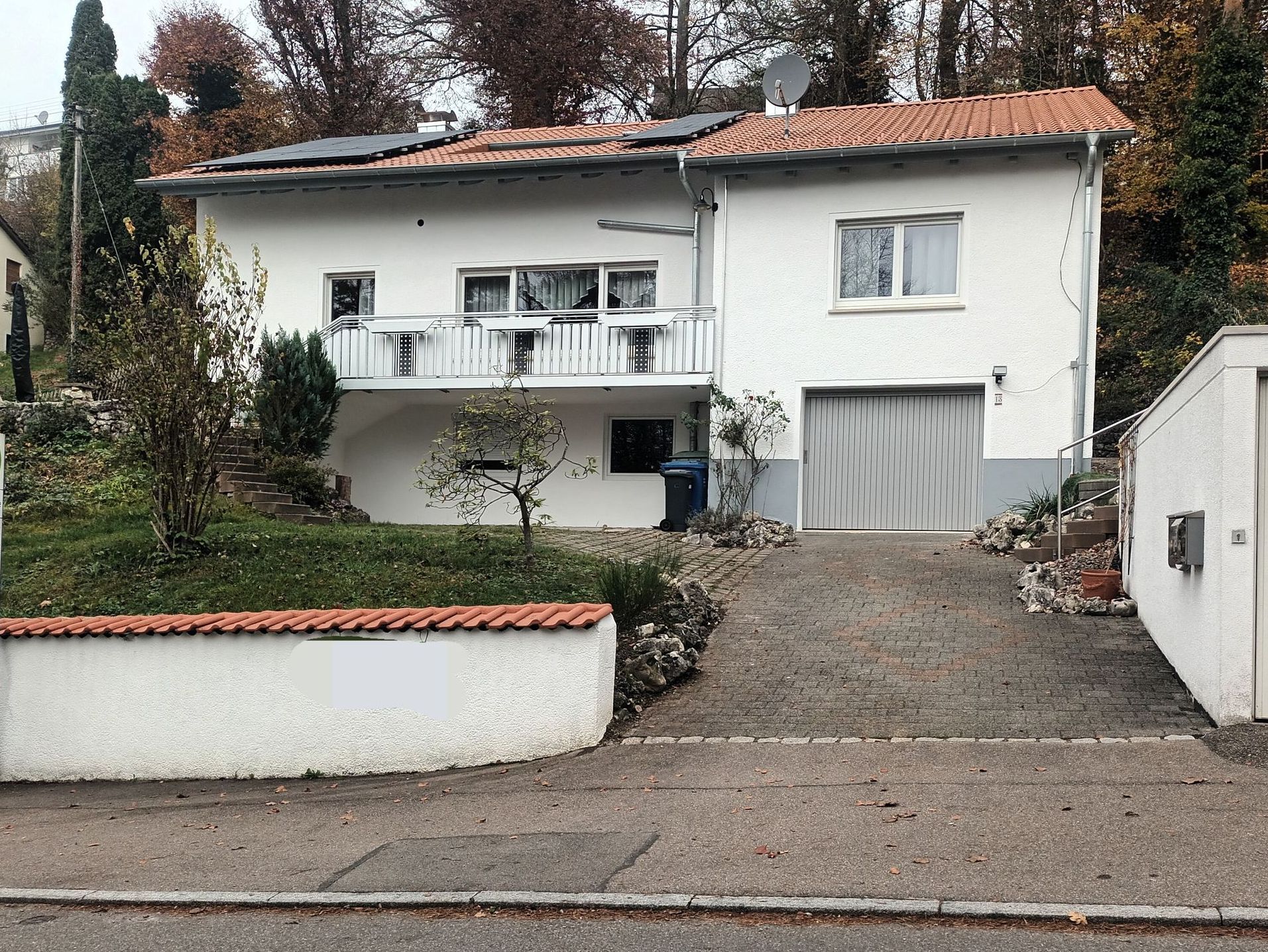 Frontansicht mit Zufahrt