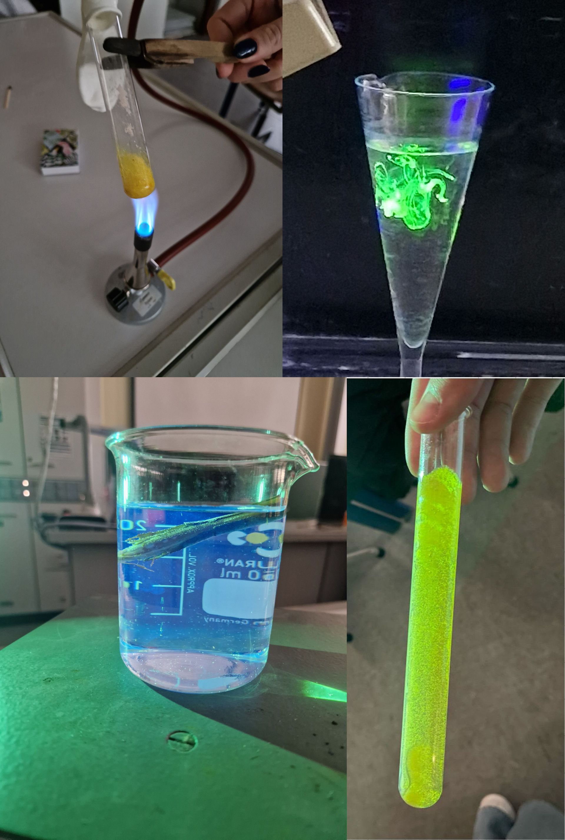 Verschiedene chemische Behältnisse mit farbigen Flüssigkeiten