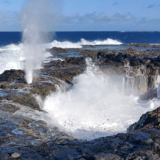 Spektakuläres erleben bei Paradise Tours Spektakuläres erleben bei Paradise Tours