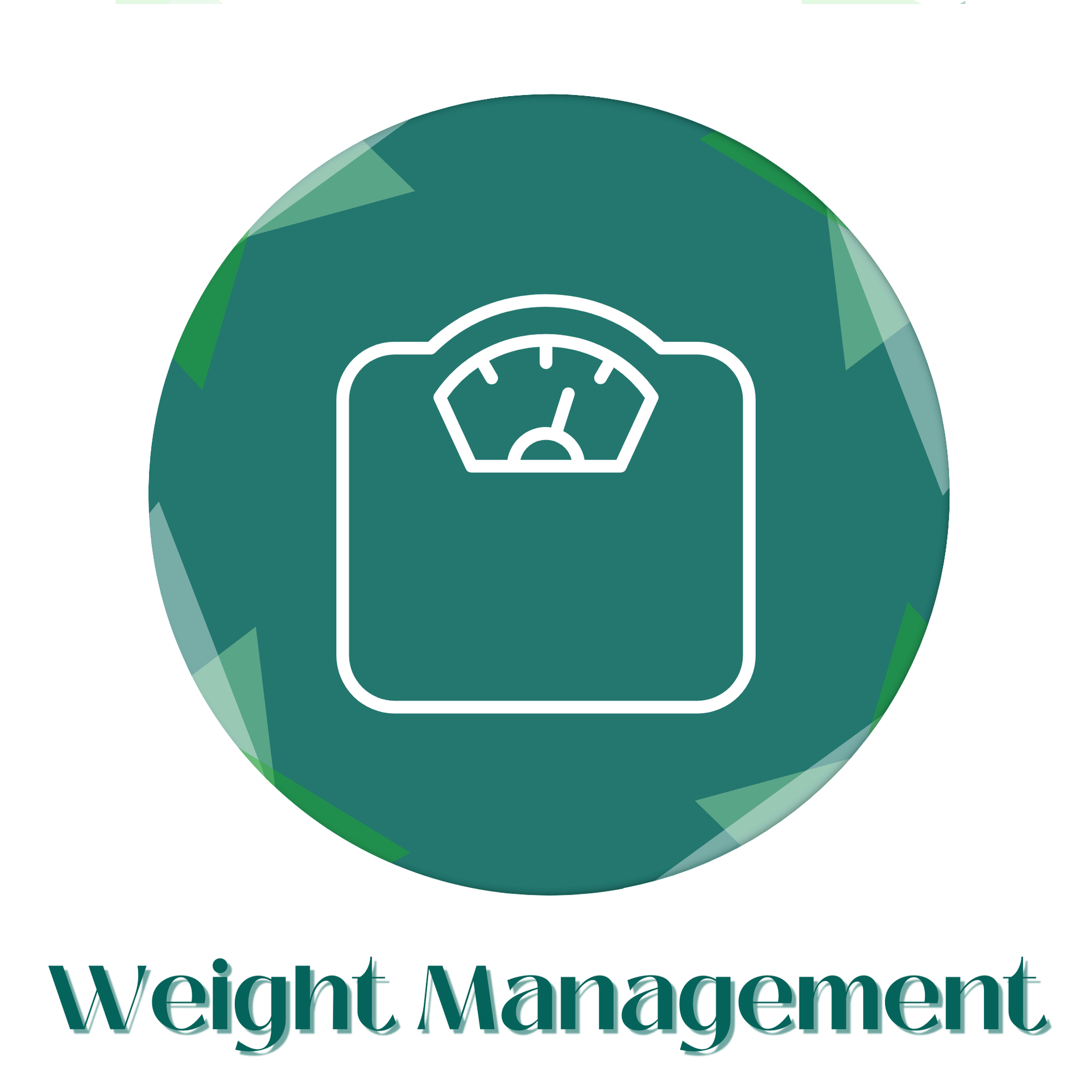 WEIGHT MANAGEMENT ICON