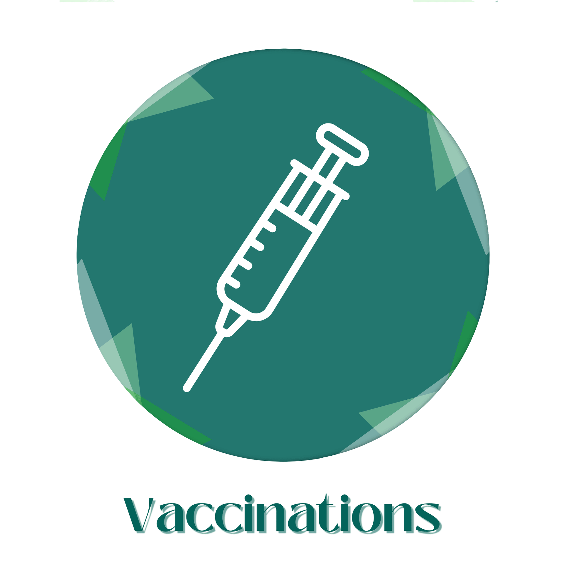 Vaccinations icon