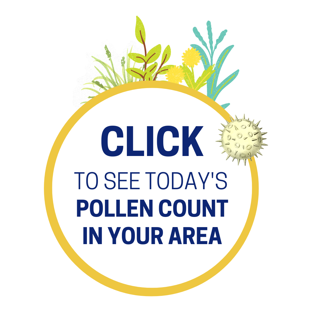 POLLEN COUNT BUTTON
