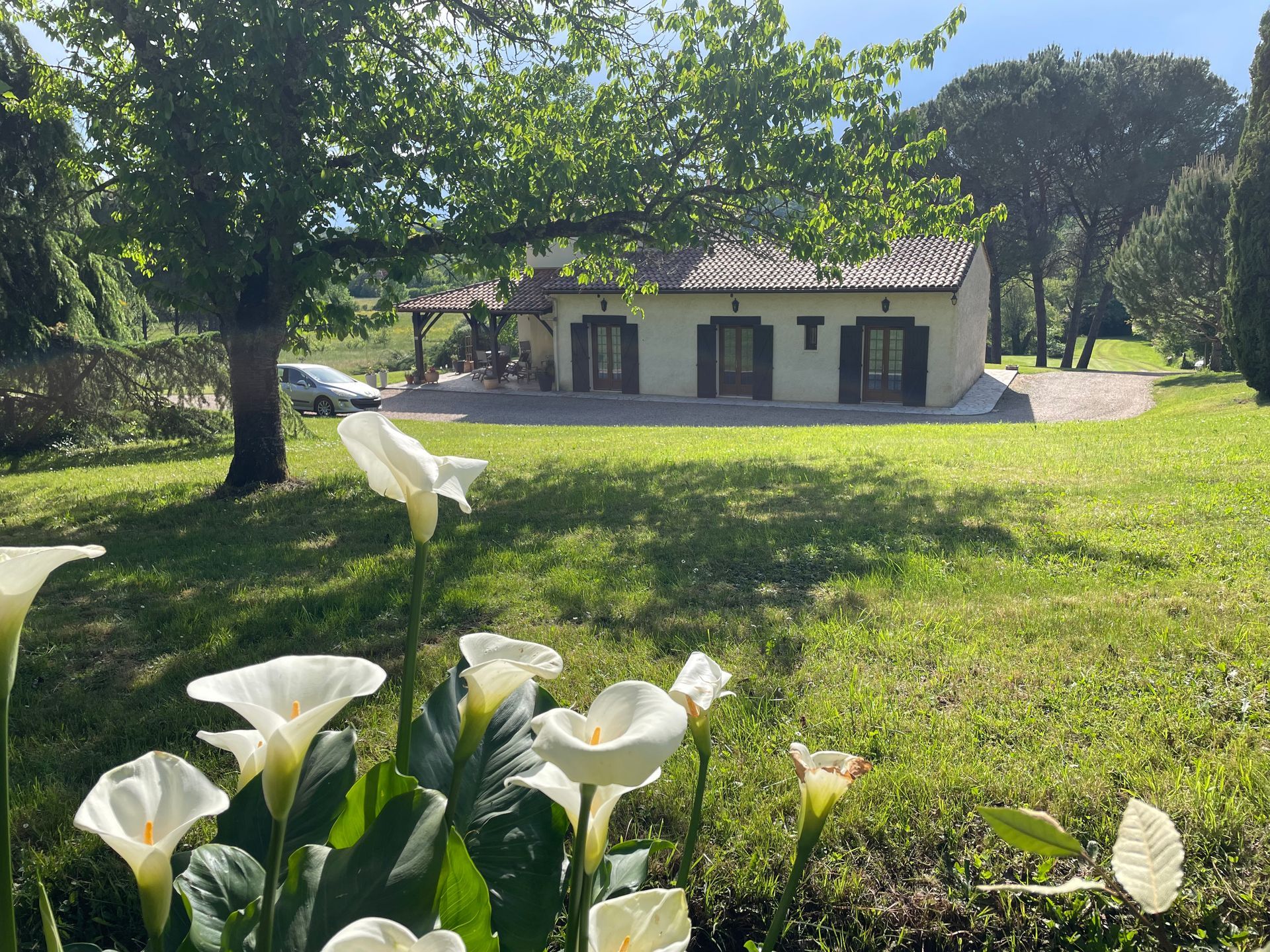 Vue de la maison côté est avec arômes en fleur au premier plan