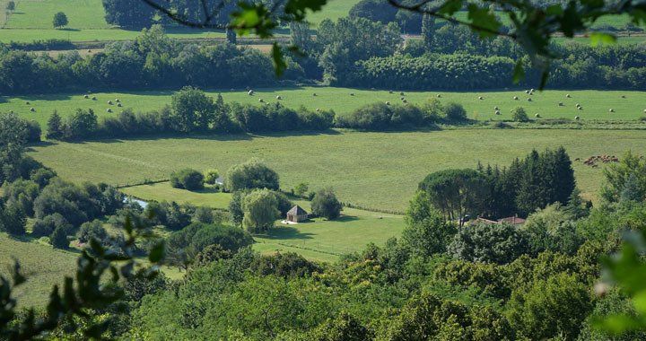 Propriété vue du sommet de la coline