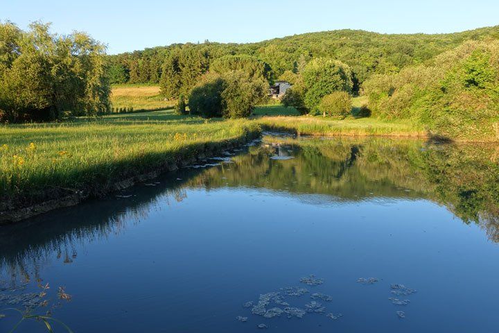 Étang de la propriété en été