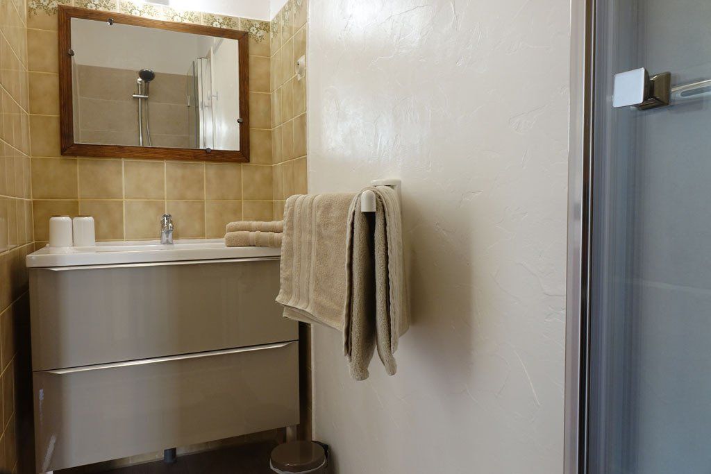 Lavabo de la salle de bain avec serviettes sur le bord et miroir