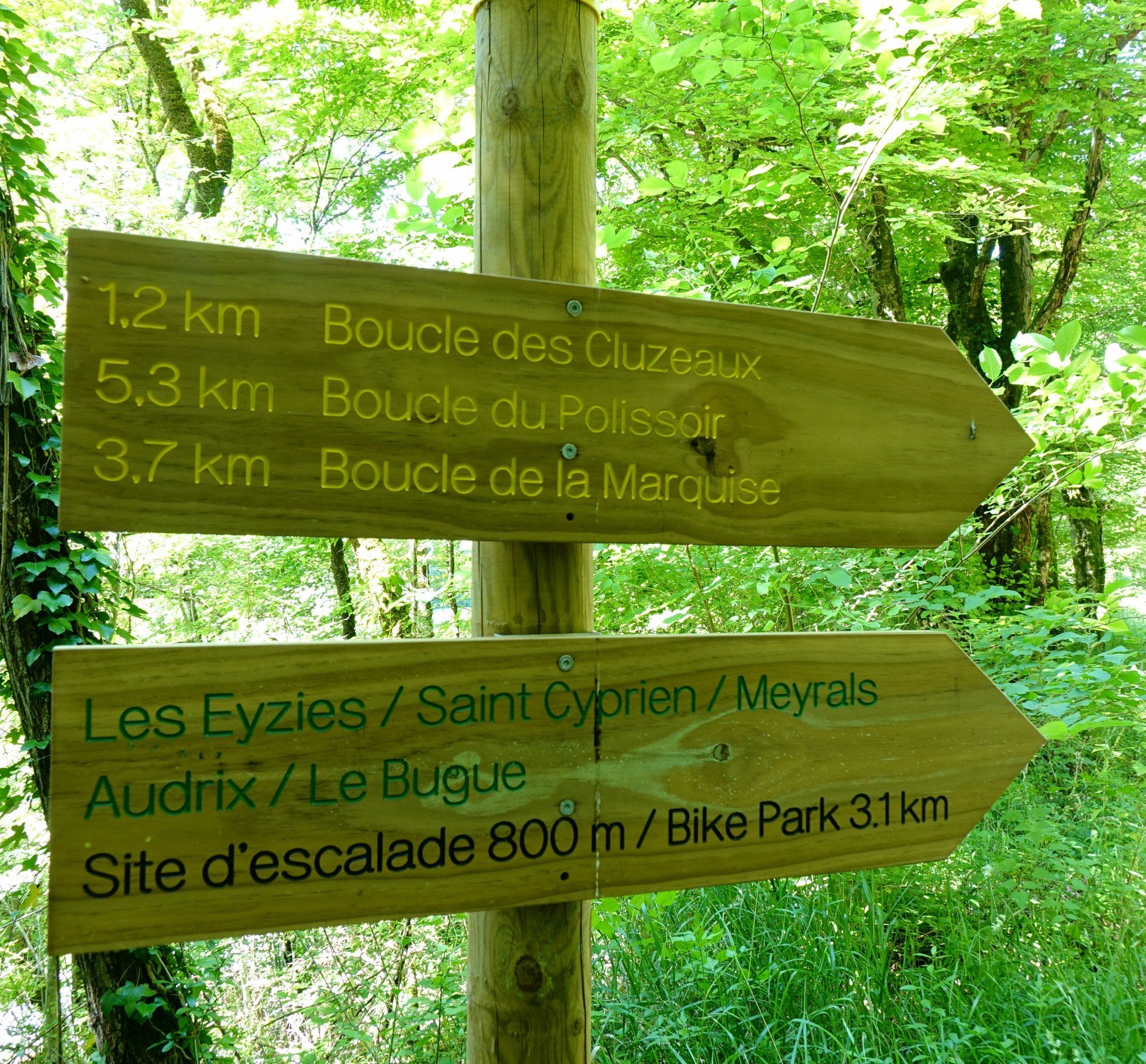Panneaux en bois dans la forêt. Directions et distances vers des sentiers de randonnées et des villages ( Les Eyzies, Saint Cyprien, Audrix, Le Bugue)