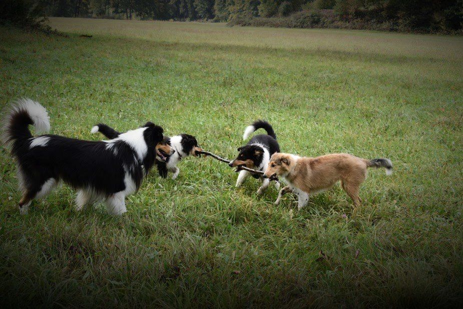 wer bekommt den Stock