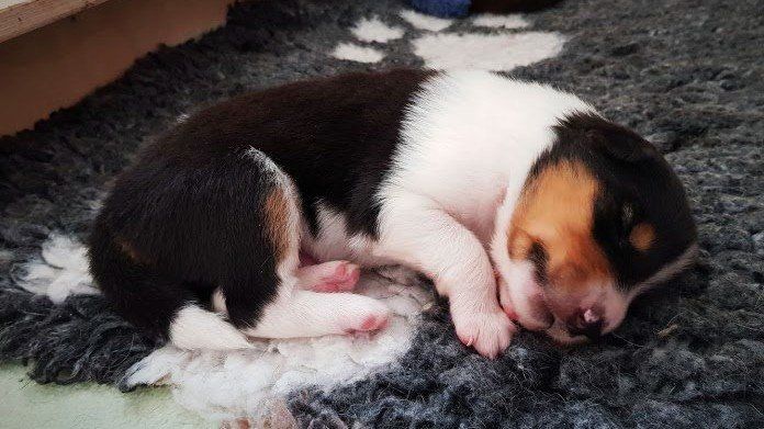 wer schläft sündigt nicht