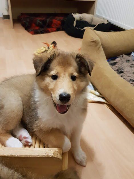 Hallo hier bin ich