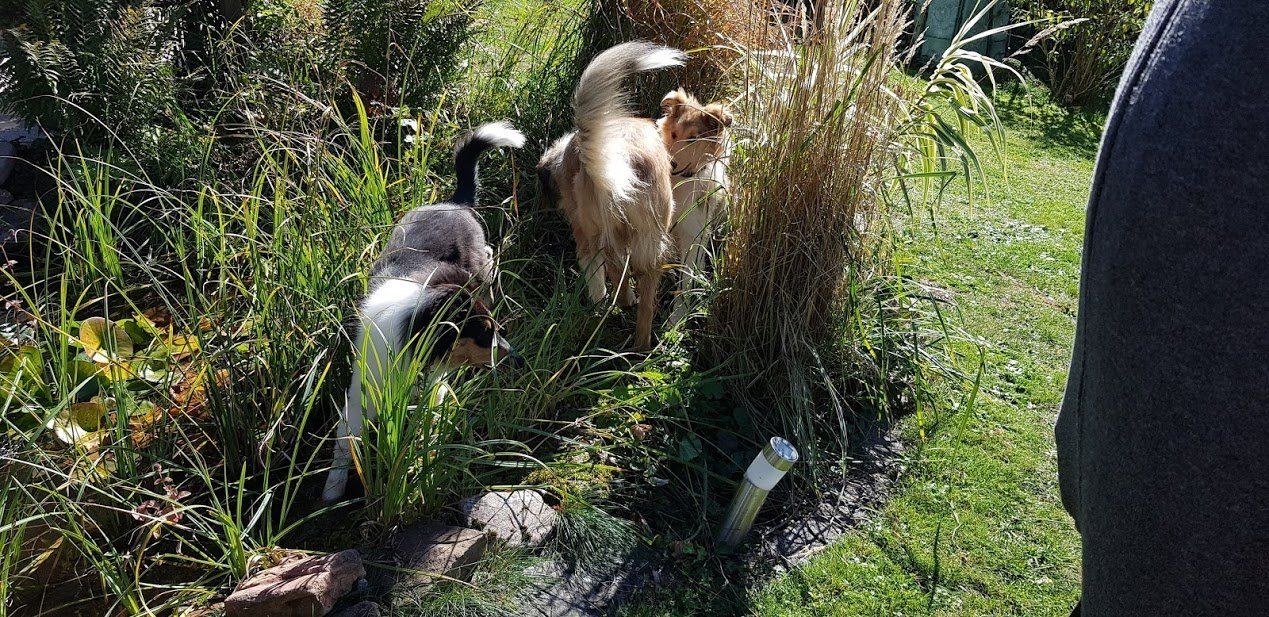 Im Garten