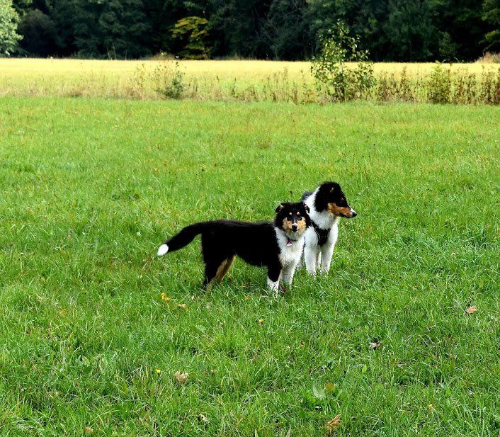 Alma und Konrad