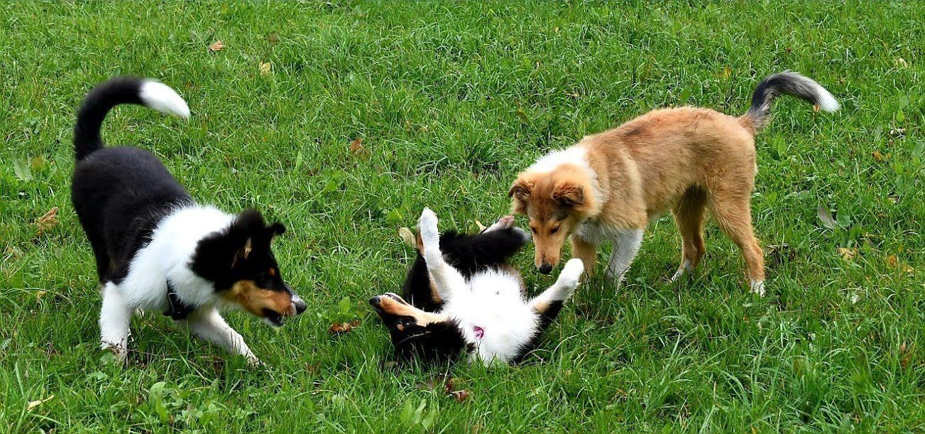 Spielen