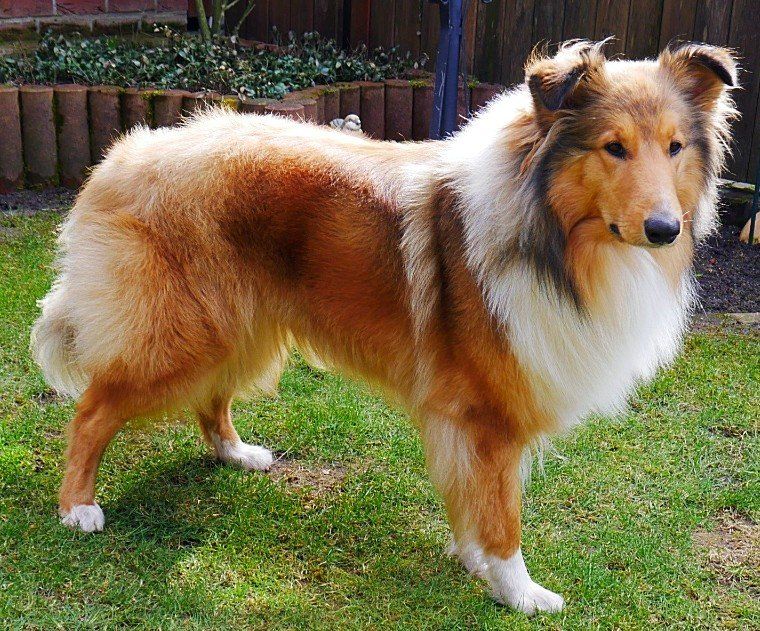 Hedda von Gerda Huvers