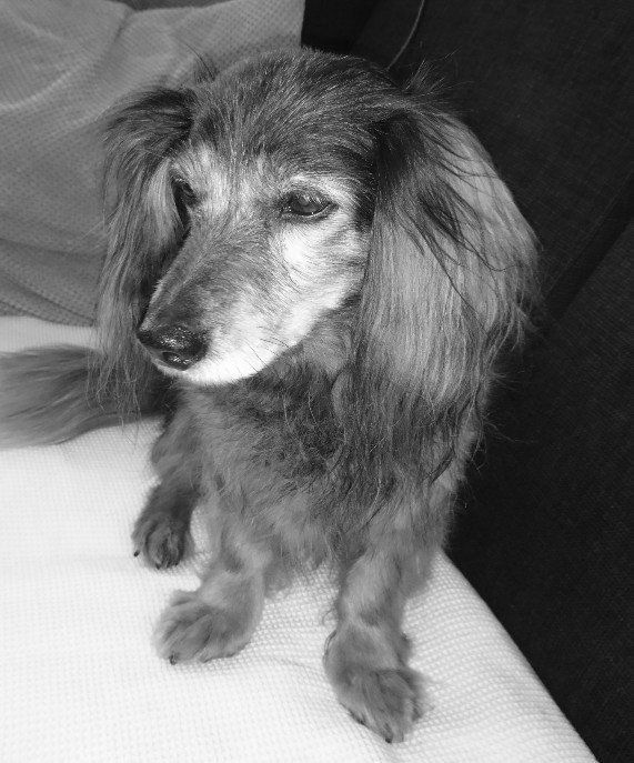 Unser Spike Spike