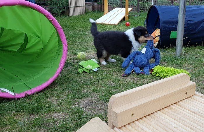 In der Spielwelt