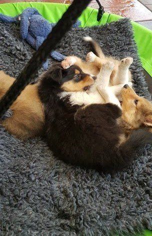 Kuschelzeit
