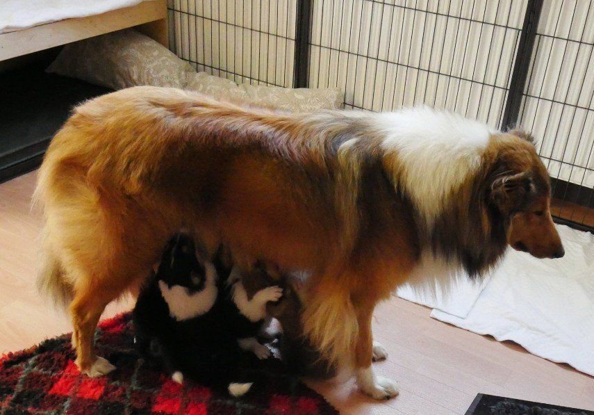 Trinken geht auch im stehen