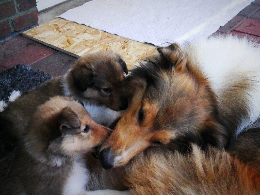 mit Mama ist es am schönsten