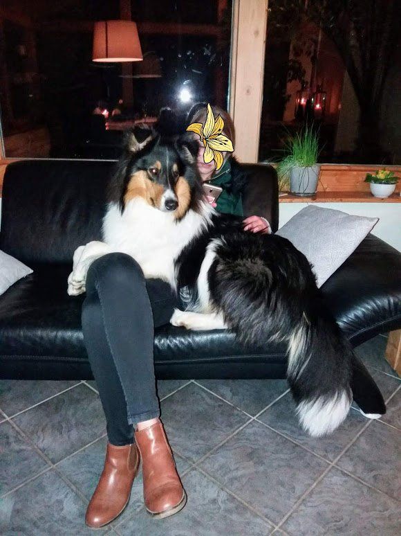Kuschelstunde