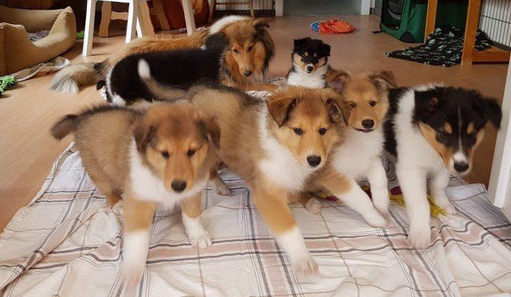 auf die plätze fertig los